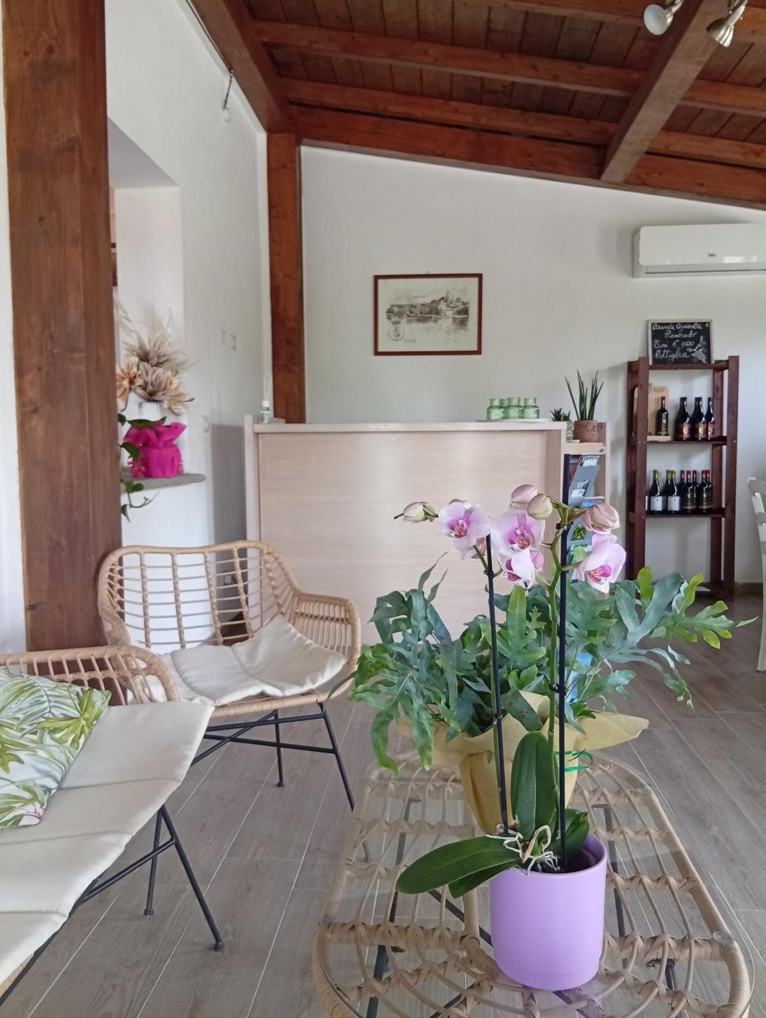 Agriturismo Santa Maria Marta Ngoại thất bức ảnh
