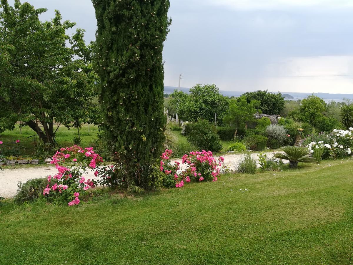 Agriturismo Santa Maria Marta Ngoại thất bức ảnh